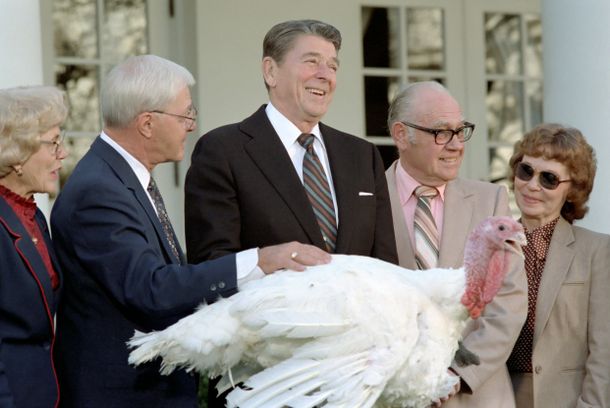 still / picture for The Reagan Shorts