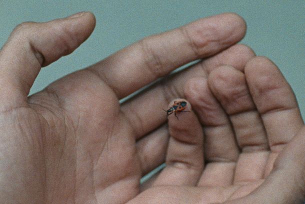 still / picture for Restbestand