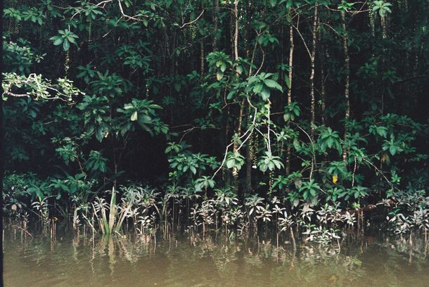 still / picture for Rare Birds (working title) 