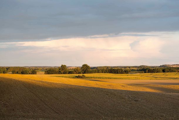 still / picture for LANDSTÜCK