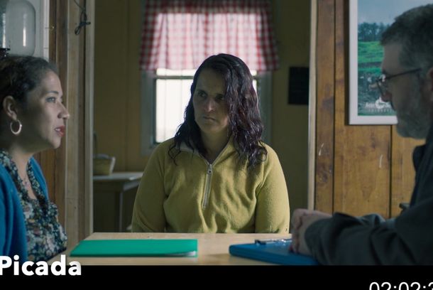 still / picture for La Picada de Felipe Zúñiga