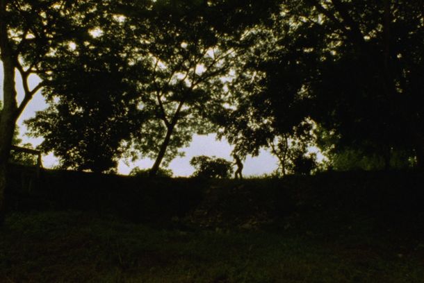 still / picture for La bala de Sandoval