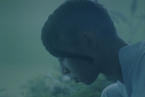 still / picture for Lemna