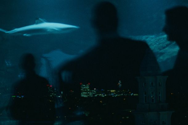 still / picture for Habitat
