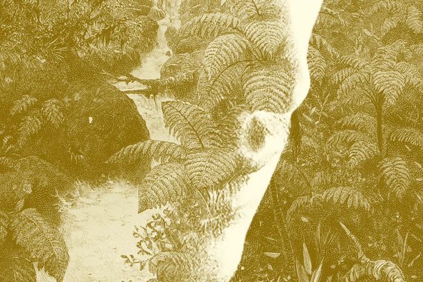 still / picture for Baía dos Tigres