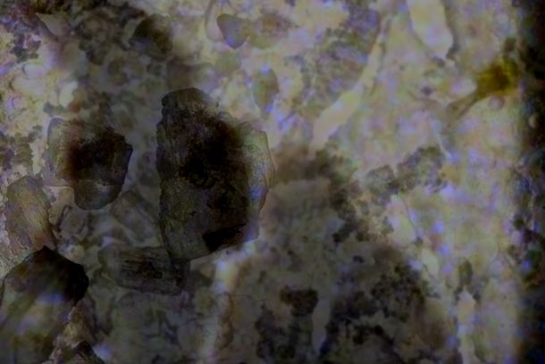still / picture for Marée noire