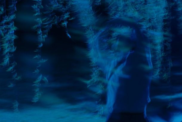 still / picture for STUPORIA