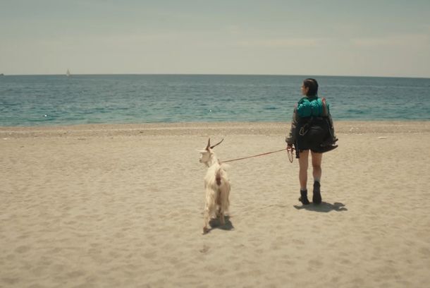 still / picture for Cercando Itaca
