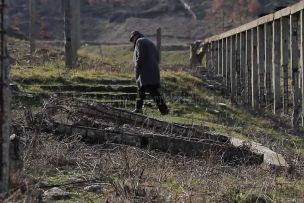 still / picture for Dyert memece te ferrit